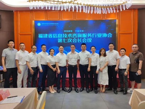 信息技術咨詢服務 陳維芳會長新春致辭，展望行業未來